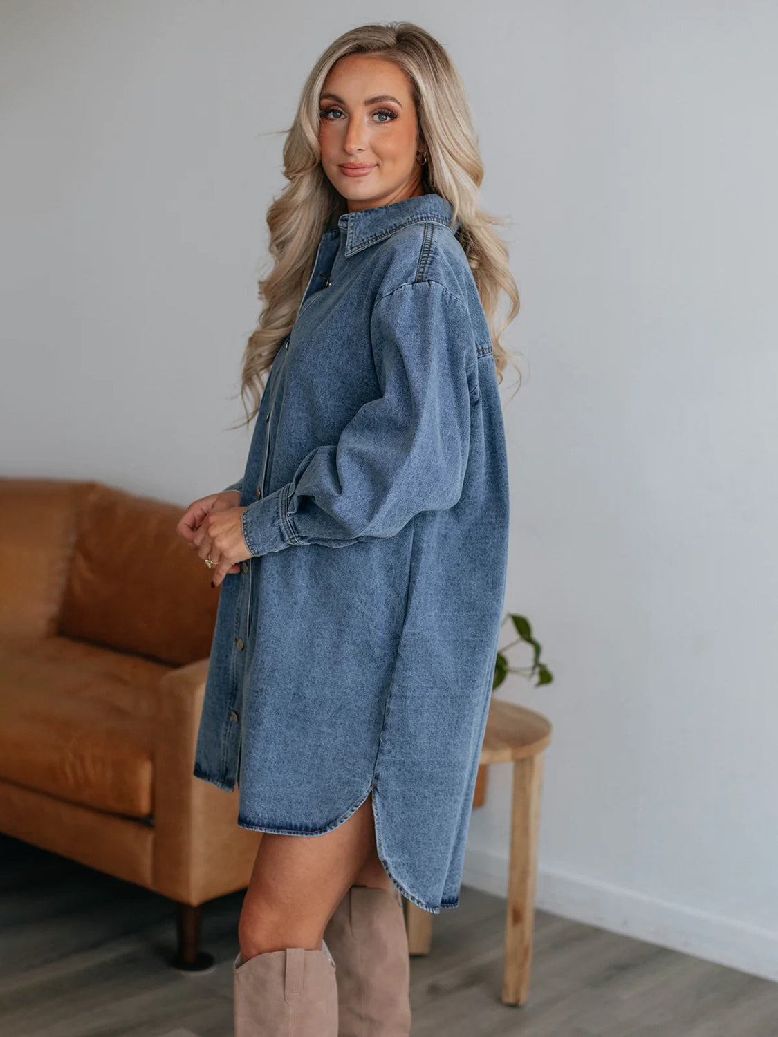 Collard Denim Dress