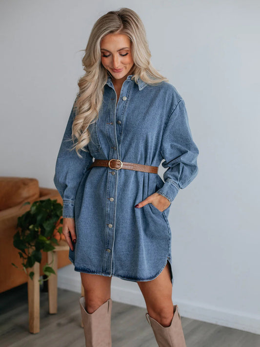 Collard Denim Dress