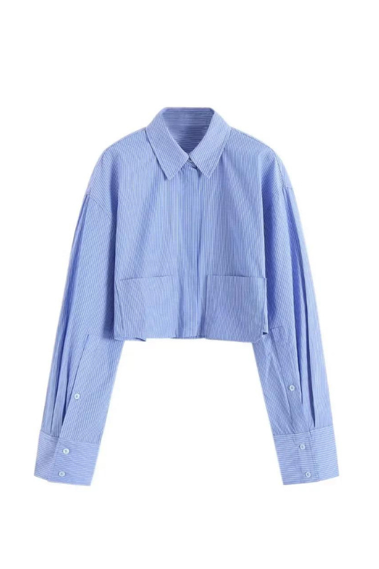 Blue Striped Cropped Button Up Top